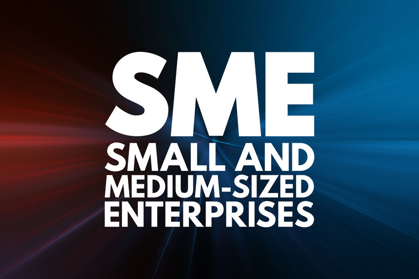 What are the biggest obstacles in the growth of SMEs?
