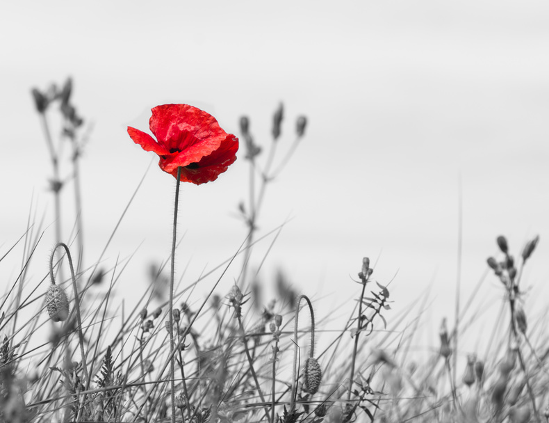 Building Your Brand : Marketing Strategies for Independent Consultants
