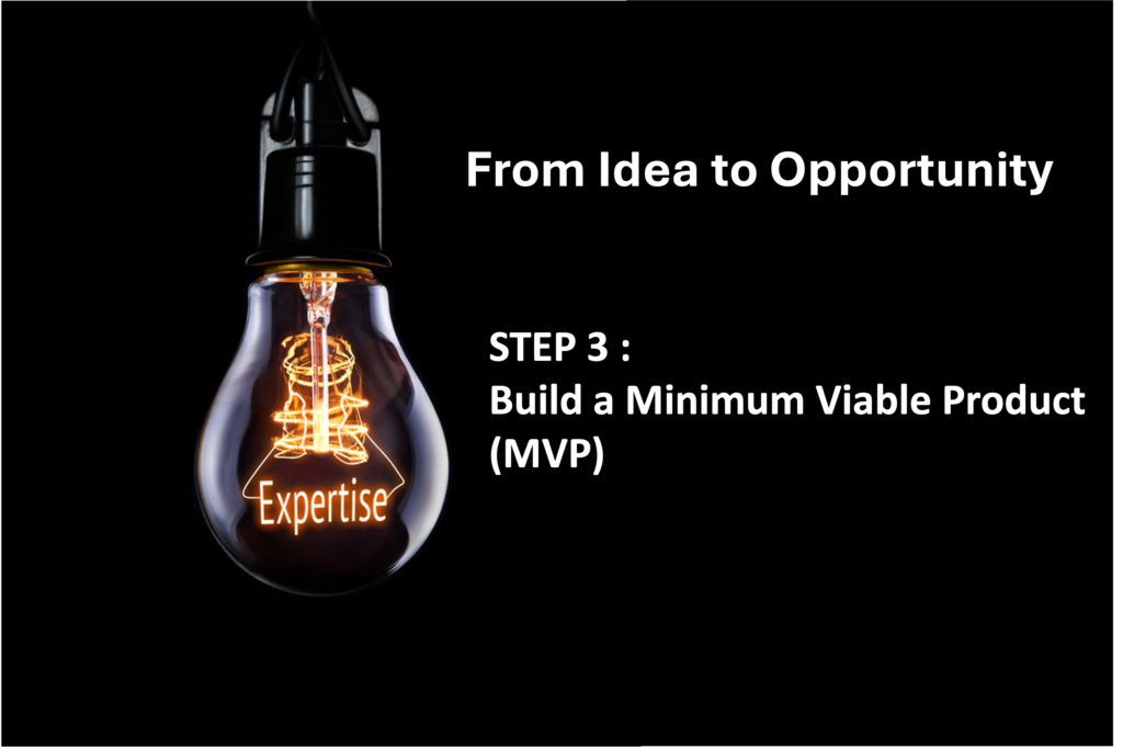 From Idea to Opportunity Step 3: Build a Minimum Viable Product (MVP)